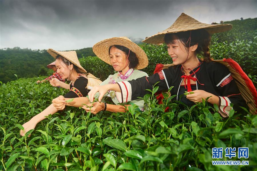 (新華全媒頭條·潮起海之南·圖文互動(dòng))(7)春潮拍岸千帆進(jìn)——海南特區(qū)改革開放30年紀(jì)實(shí)