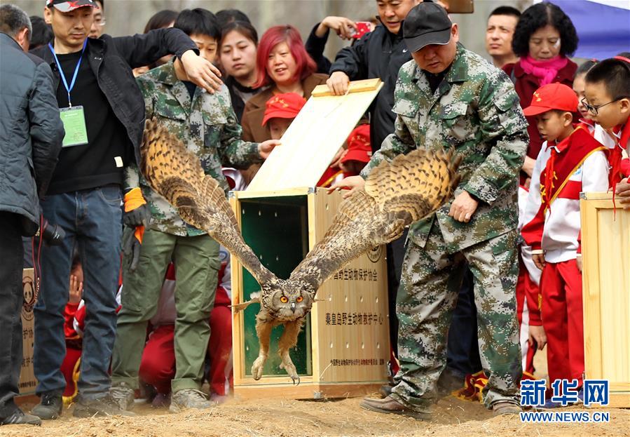 （鏡觀中國&middot;新華網(wǎng)）（14）新華社國內(nèi)照片一周精選