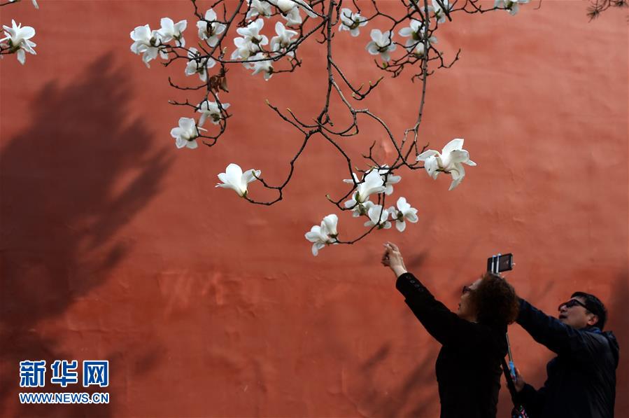 （在習(xí)近平新時(shí)代中國(guó)特色社會(huì)主義思想指引下&mdash;&mdash;新時(shí)代新氣象新作為&middot;新華全媒頭條&middot;圖文互動(dòng)）（1）最濃是這中國(guó)紅&mdash;&mdash;北京市西城區(qū)弘揚(yáng)紅墻意識(shí)深化改革發(fā)展紀(jì)實(shí)
