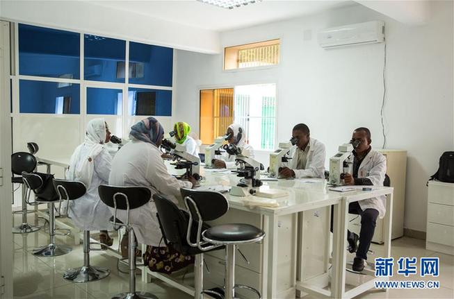 （新華全媒頭條&middot;世界防治瘧疾日&middot;圖文互動(dòng)）（2）&ldquo;月亮之國(guó)&rdquo;的驅(qū)魔人&mdash;&mdash;記非洲抗瘧戰(zhàn)場(chǎng)上的廣東團(tuán)隊(duì)