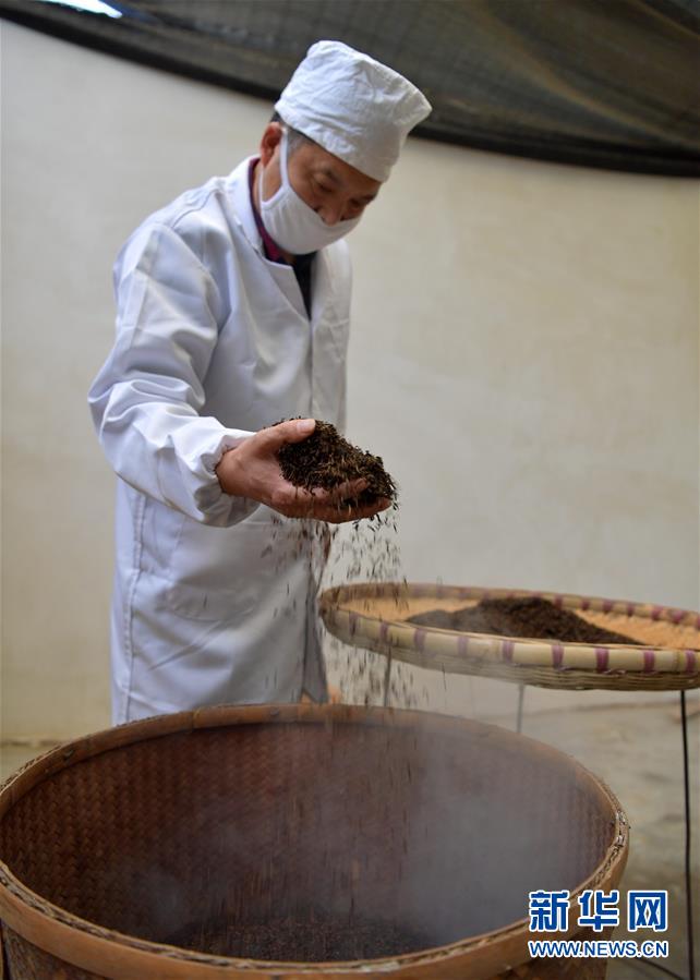 #(社會(huì))(4)人間至味“冷后渾”