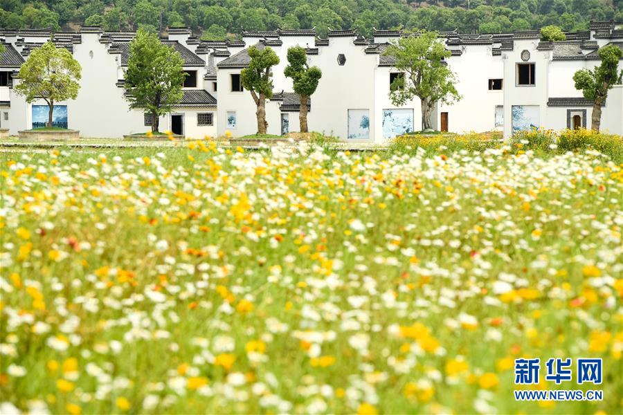 （新華全媒頭條&middot;搶救古民居&middot;圖文互動）（2）當(dāng)古民居遇上城鎮(zhèn)化，如何留住鄉(xiāng)愁？