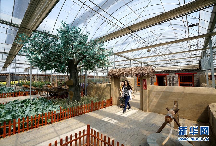 (社會(huì))(3)特色農(nóng)業(yè)休閑旅游助推鄉(xiāng)村振興