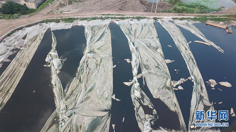 （新華視點&middot;圖文互動）（4）中央督察兩年有的絲毫未改，有的不減反增&mdash;&mdash;江蘇泰興數(shù)萬噸化工廢料和污泥堆放長江邊調(diào)查