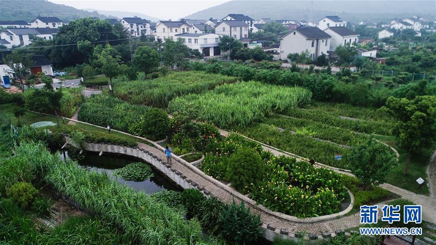 （在習(xí)近平新時(shí)代中國(guó)特色社會(huì)主義思想指引下&mdash;&mdash;新時(shí)代新作為新篇章&middot;圖文互動(dòng)）（1）稀奇！治污濕地成了休閑公園&mdash;&mdash;江蘇蘇州全域推進(jìn)農(nóng)村生活污水治理