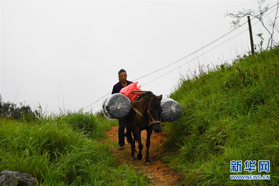 （新華全媒頭條&middot;圖文互動）（4）一個人，一座山&mdash;&mdash;劉真茂的生命守望
