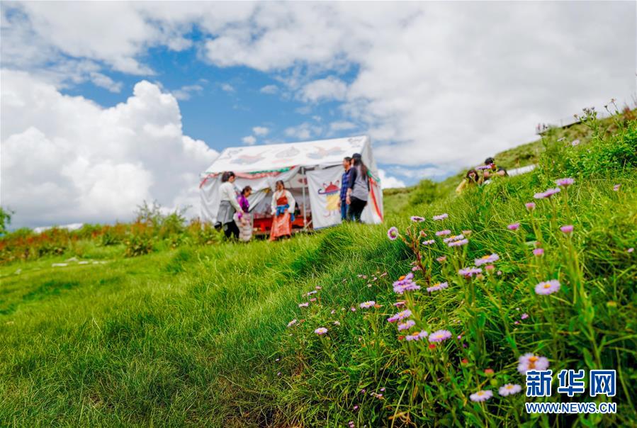 （社會）（4）夏日&ldquo;過林卡&rdquo; 親近大自然