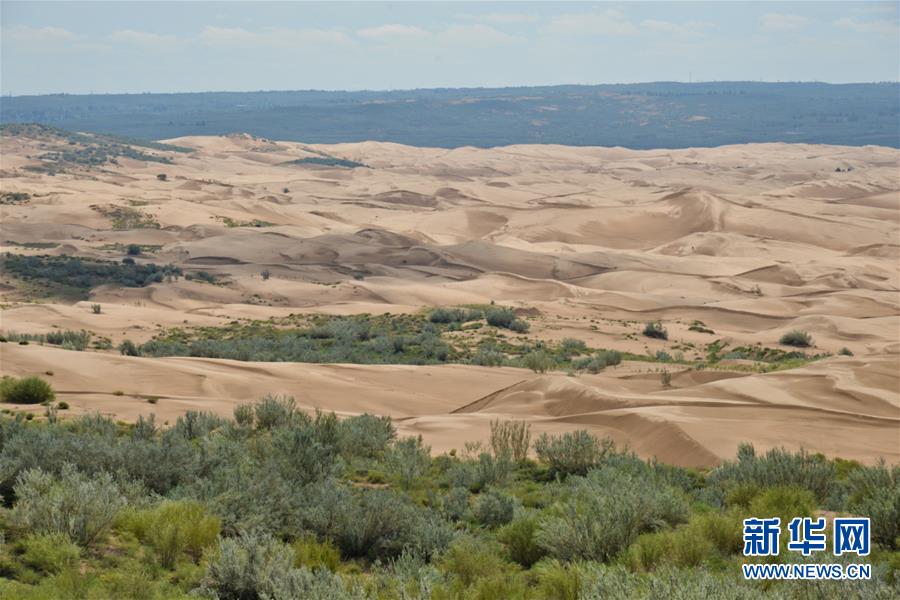 (在習(xí)近平新時(shí)代中國(guó)特色社會(huì)主義思想指引下——新時(shí)代新作為新篇章·圖文互動(dòng))(6)庫(kù)布其競(jìng)相演繹“點(diǎn)沙成金”傳奇