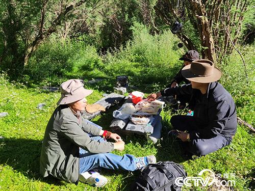 長途跋涉途中休息。