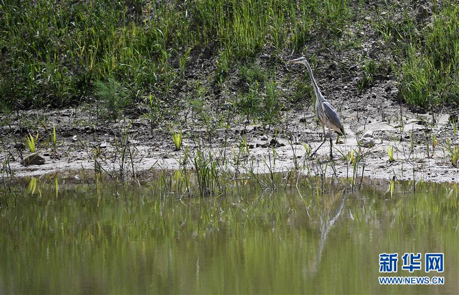 （新華全媒頭條&middot;圖文互動(dòng)）（10）中國扶貧的西海固答卷&mdash;&mdash;寧夏奮進(jìn)60年巡禮之脫貧攻堅(jiān)篇