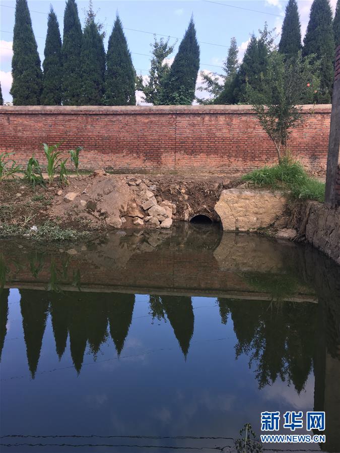 （新華視點(diǎn)&middot;圖文互動(dòng)）（3）上游洪水來(lái)襲下游魚蟹死亡，泄洪為何變泄污？