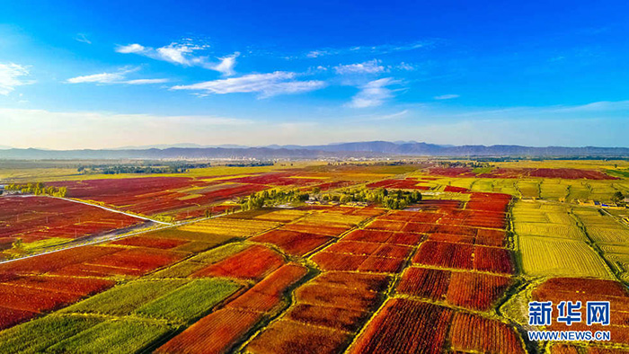 秋收的中國，你想象不到的美！但更美的是&hellip;&hellip;