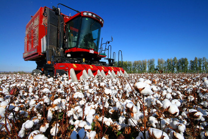 秋收的中國，你想象不到的美！但更美的是&hellip;&hellip;