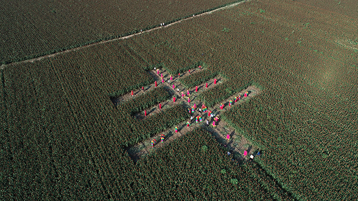 秋收的中國，你想象不到的美！但更美的是&hellip;&hellip;