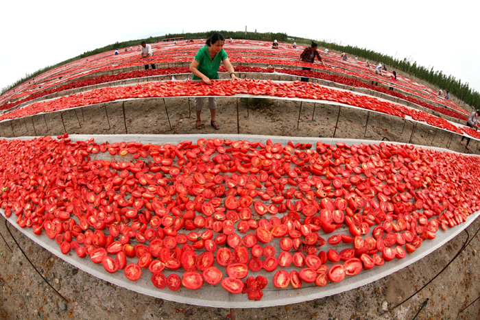 秋收的中國，你想象不到的美！但更美的是&hellip;&hellip;