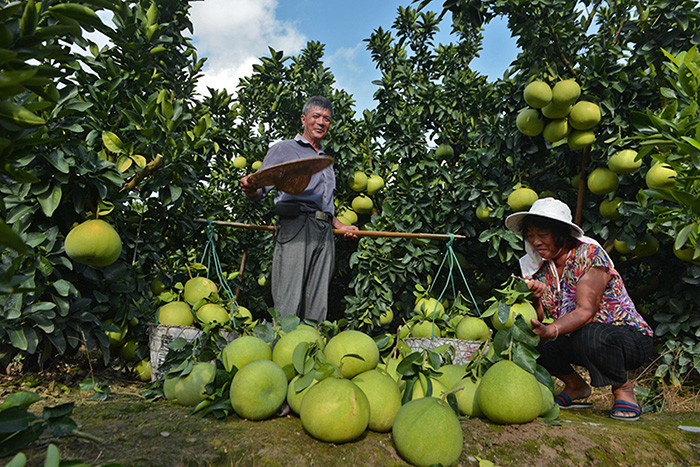 秋收的中國，你想象不到的美！但更美的是&hellip;&hellip;