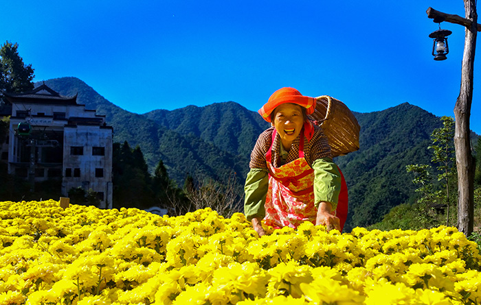 秋收的中國，你想象不到的美！但更美的是&hellip;&hellip;