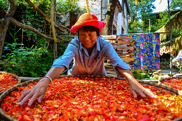 秋收的中國，你想象不到的美！但更美的是&hellip;&hellip;