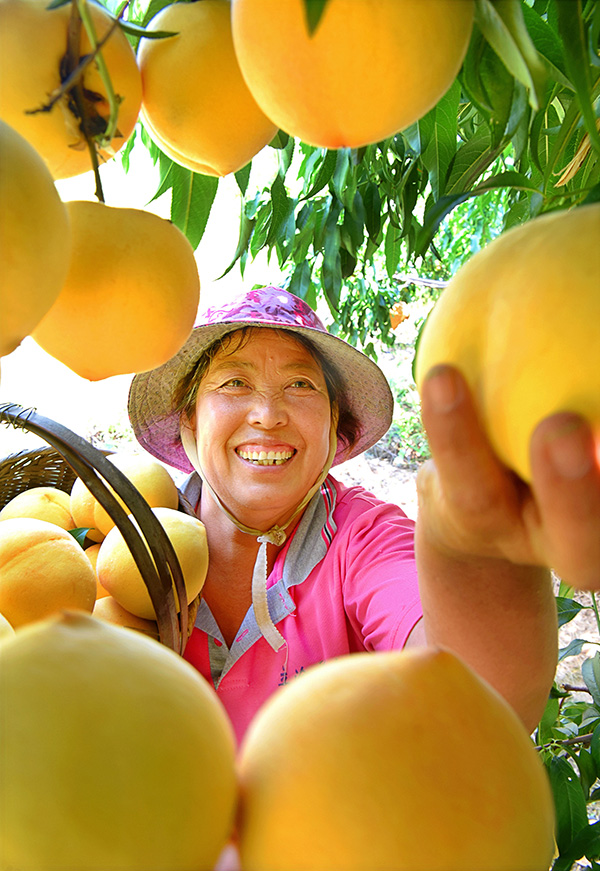 秋收的中國，你想象不到的美！但更美的是&hellip;&hellip;