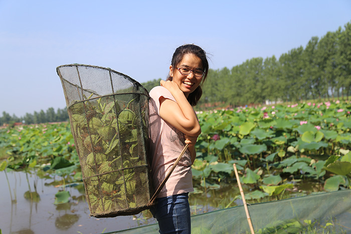 秋收的中國，你想象不到的美！但更美的是&hellip;&hellip;