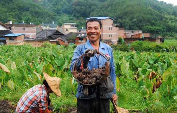 秋收的中國，你想象不到的美！但更美的是&hellip;&hellip;