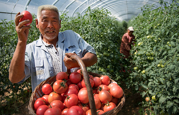 秋收的中國，你想象不到的美！但更美的是&hellip;&hellip;
