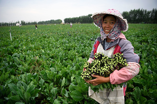 秋收的中國，你想象不到的美！但更美的是&hellip;&hellip;