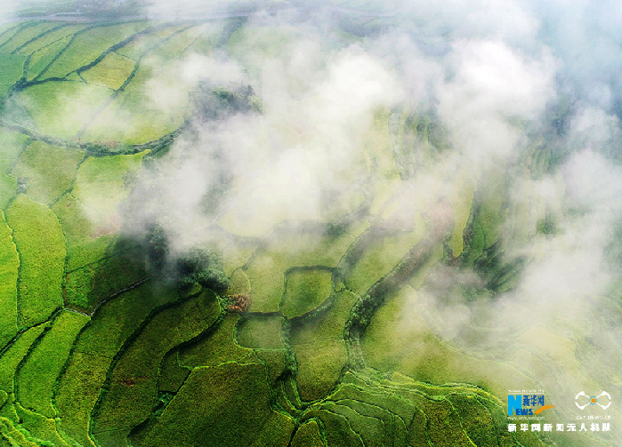 秋收的中國，你想象不到的美！但更美的是&hellip;&hellip;