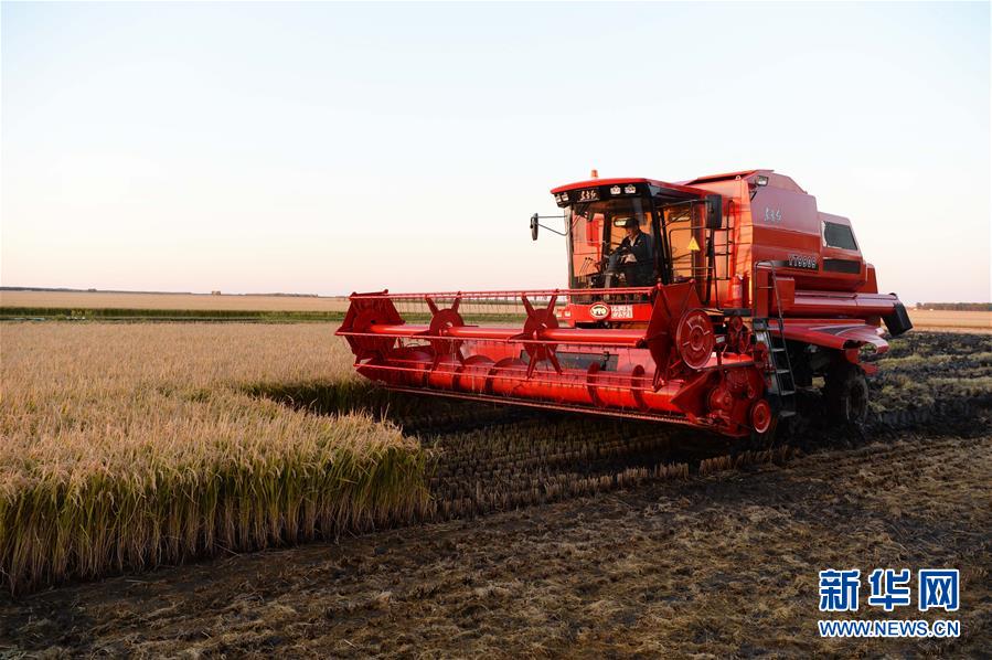 (新華全媒頭條·圖文互動)(1)情系黑土地——習(xí)近平總書記考察東北三省回訪記