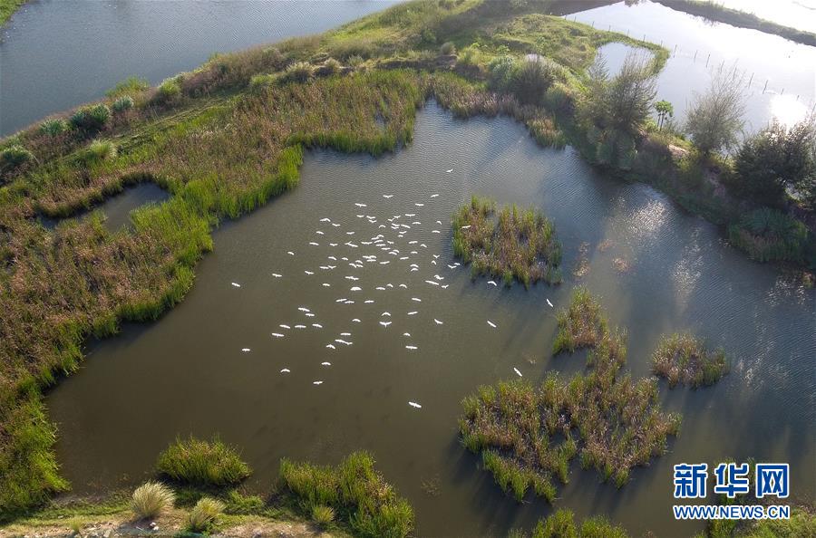 （圖文互動(dòng)&middot;百城百縣百企調(diào)研行）（5）&ldquo;濕地海口&rdquo;的生態(tài)文明建設(shè)實(shí)踐