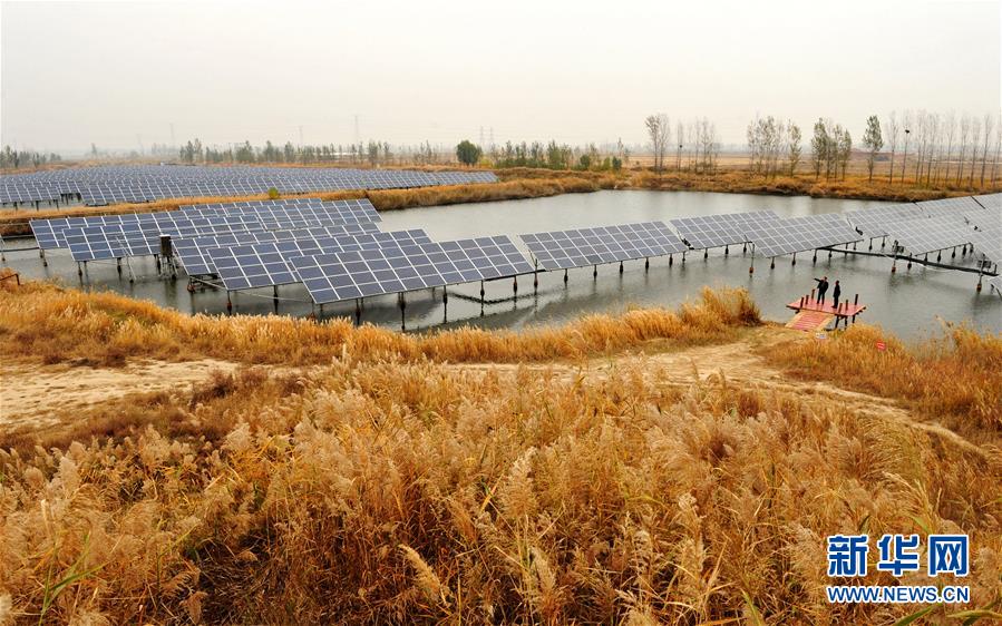 #(社會)河北南皮:“漁光互補”光伏電站鋪就綠色扶貧路