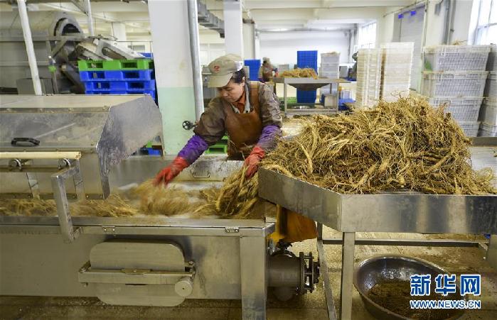 （百城百縣百企調(diào)研行&middot;圖文互動）（5）吉林集安：邊陲&ldquo;綠色明珠&rdquo;為何如此閃亮？