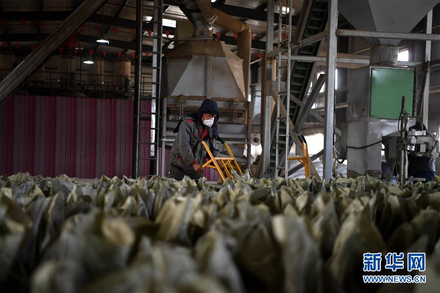 （在習(xí)近平新時(shí)代中國(guó)特色社會(huì)主義思想指引下&mdash;&mdash;新時(shí)代新氣象新作為&middot;鄉(xiāng)村振興戰(zhàn)略&middot;圖文互動(dòng)）（1）&ldquo;與其放火，不如打包&rdquo;&mdash;&mdash;山西渾源秸稈綜合再利用見聞