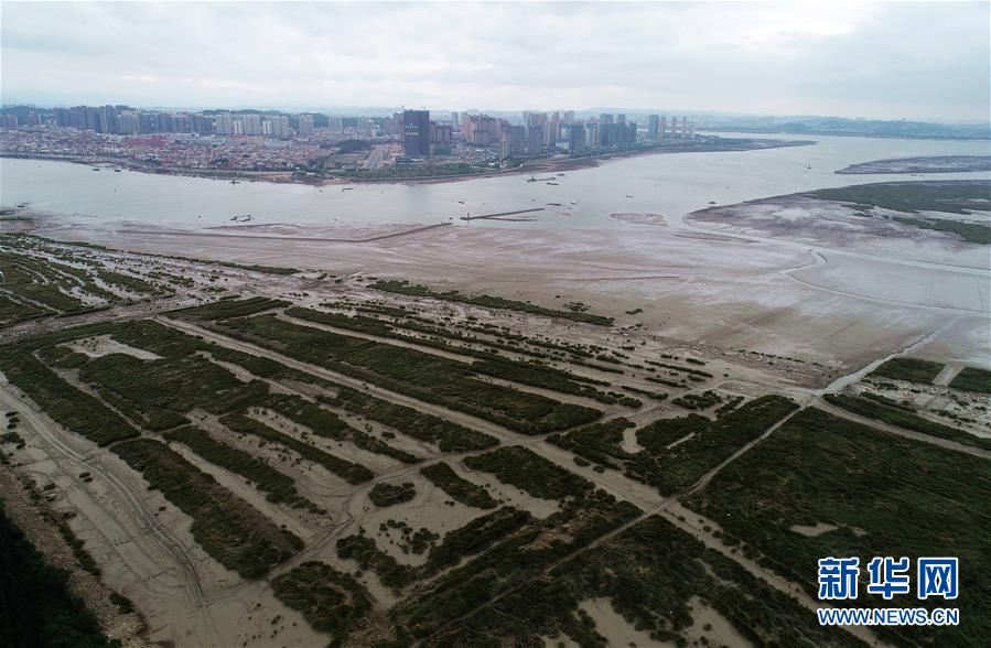 （新華視點&middot;圖文互動）（1）福建10名黨員干部被問責的背后：7部門十余次執(zhí)法未能有效制止泉州灣濕地圍墾行為