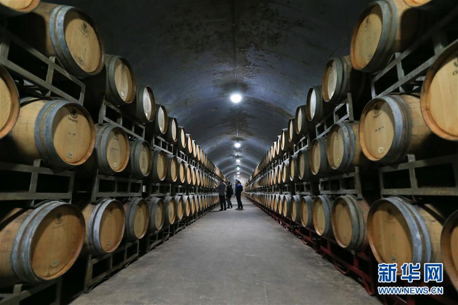 (百城百縣百企調(diào)研行·圖文互動(dòng))(7)“藍(lán)鯨1號”從這里駛出——山東煙臺(tái)崛起制造業(yè)高地