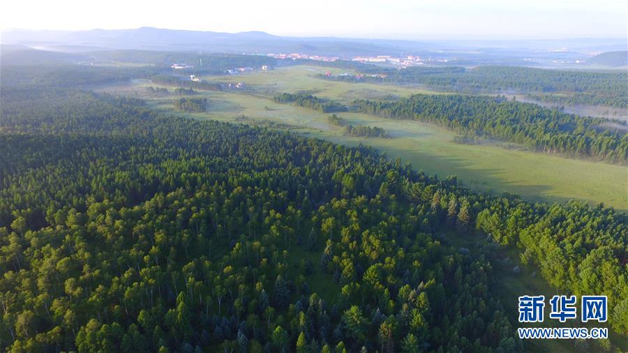 （新華全媒頭條&middot;圖文互動(dòng)）（5）那一抹綠色，走進(jìn)越來(lái)越多人心里&mdash;&mdash;河北塞罕壩續(xù)寫新時(shí)代綠色傳奇