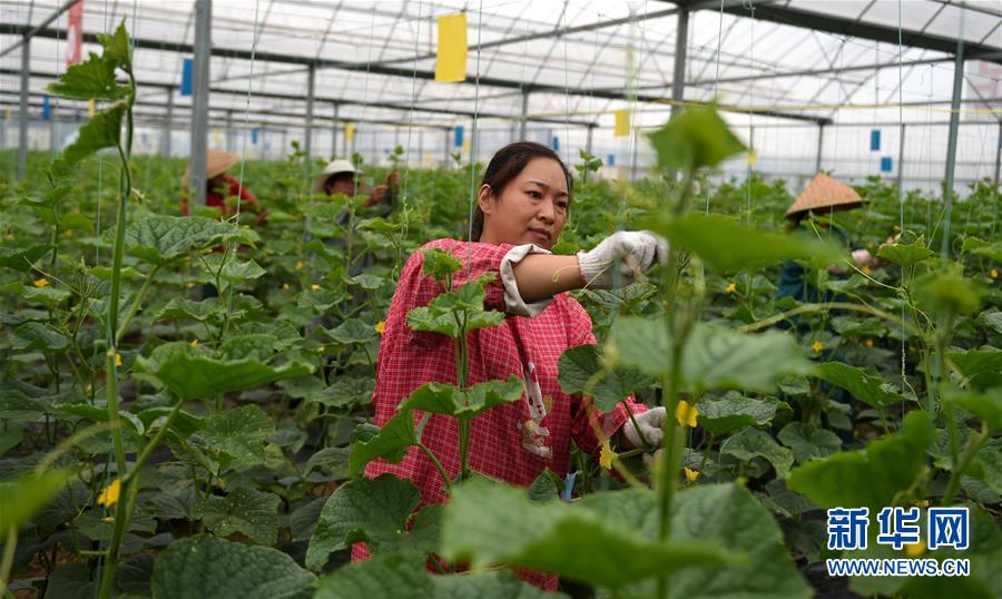 （新華全媒頭條&middot;圖文互動）（11）心中有夢想，腳下就有力量&mdash;&mdash;寫在&ldquo;中國夢&rdquo;提出六周年之際