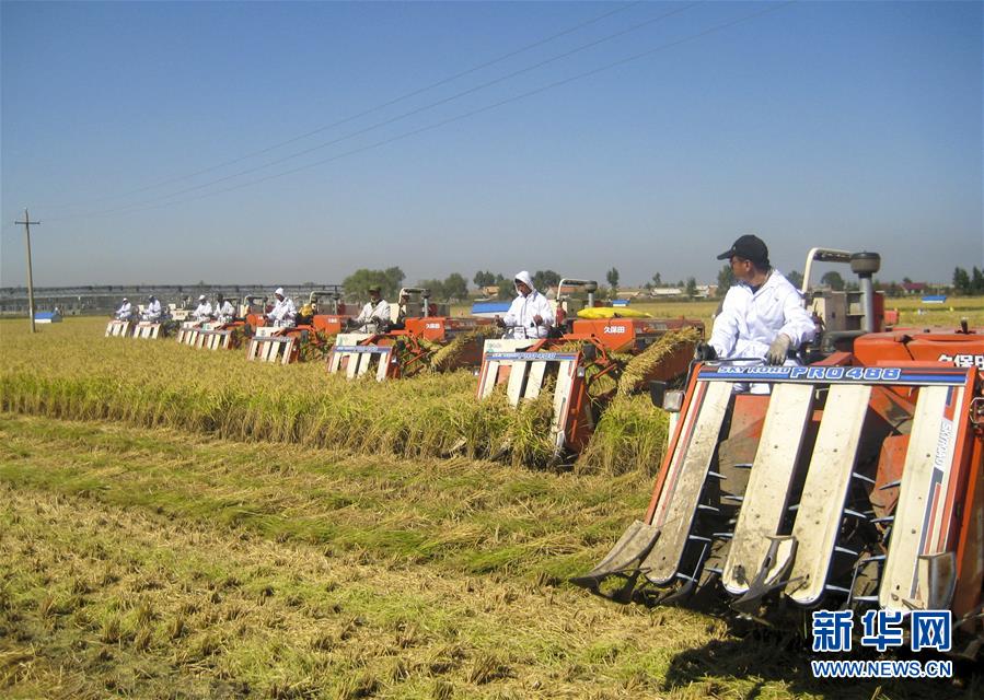 (慶祝改革開(kāi)放40周年基層行·鄉(xiāng)鎮(zhèn)篇·圖文互動(dòng))(6)三產(chǎn)融合培育鄉(xiāng)村振興熱土——吉林孤店子鎮(zhèn)“村變城”背后的故事