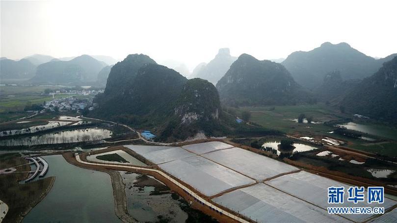 (輝煌60年·壯美新廣西·圖文互動(dòng))(9)奮力書寫壯鄉(xiāng)反貧困歷史新篇章——廣西干部群眾接續(xù)奮斗脫貧攻堅(jiān)觀察