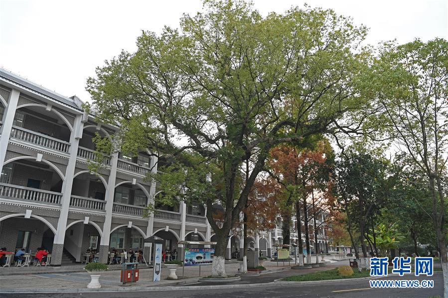 (慶祝改革開(kāi)放40周年基層行·學(xué)校篇·圖文互動(dòng))(9)白鷺洲中學(xué)40年:書院教育的時(shí)代探索