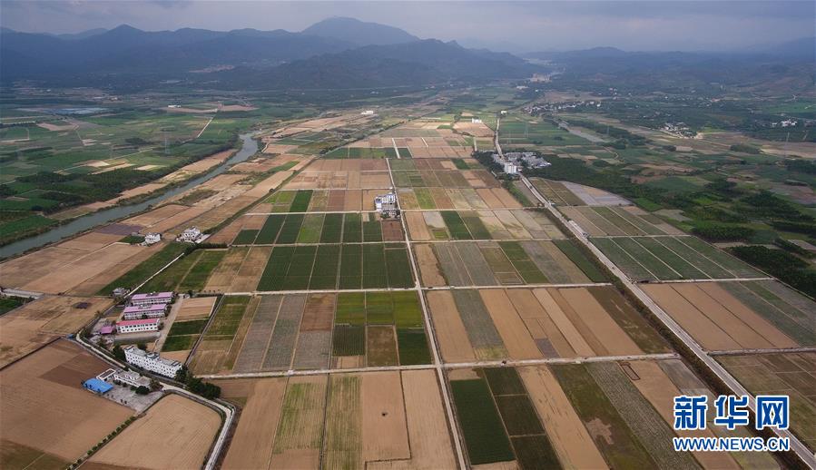 (百城百縣百企調研行·圖文互動)(1)海南農墾:農業(yè)“國家隊”打贏改革“翻身仗”