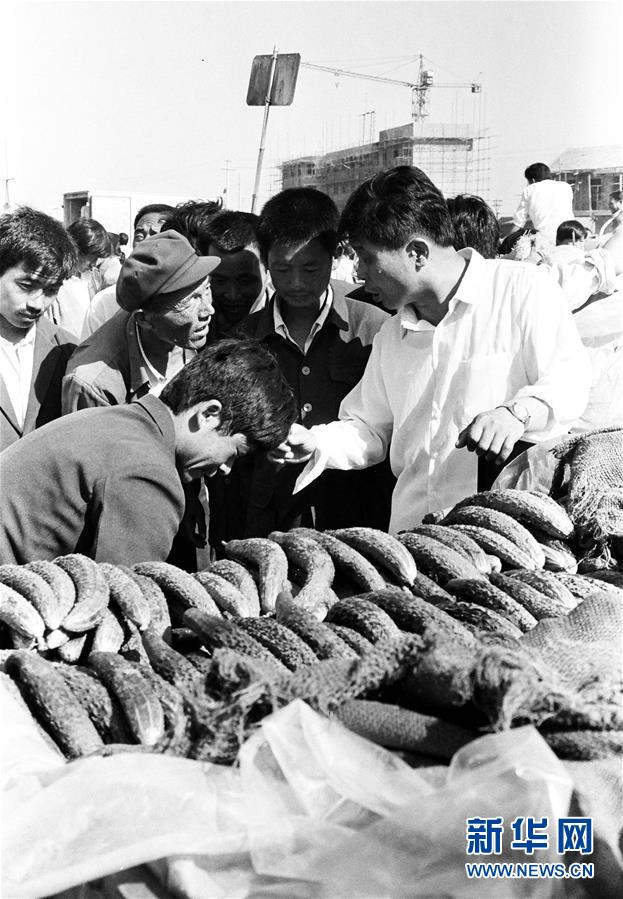 （改革先鋒風(fēng)采&middot;圖文互動(dòng)）（3）王伯祥：山東壽光蔬菜產(chǎn)業(yè)的推動(dòng)者 