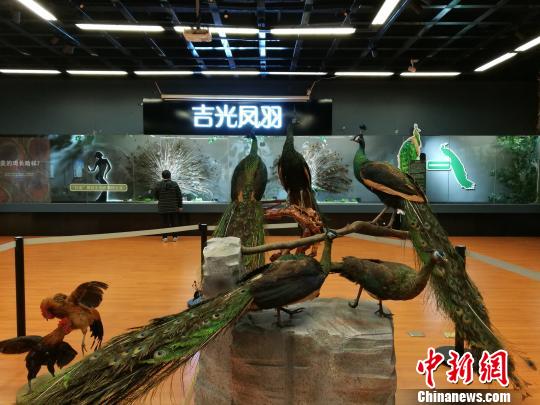 先有雞還是先有蛋？這個科普展覽有點&ldquo;不一般&rdquo;