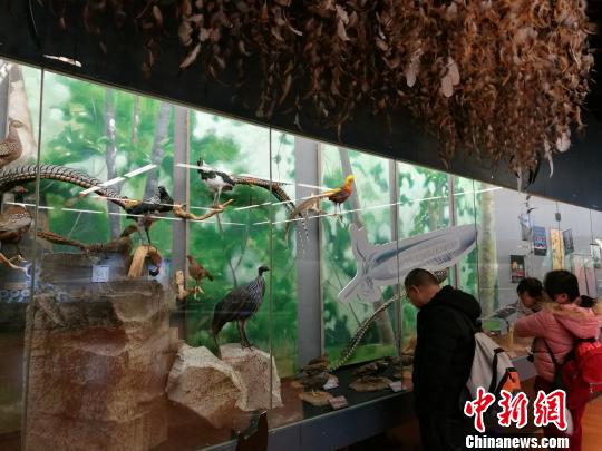 圖為展覽現(xiàn)場。　胡遠航 攝