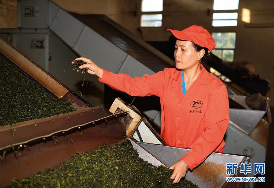 (奮進(jìn)新時(shí)代·迎接兩會(huì))(2)開放發(fā)展——推動(dòng)形成全面開放新格局