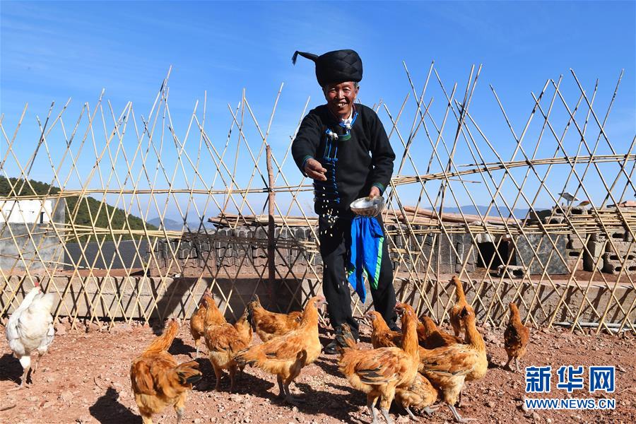 （新華全媒頭條&middot;奮進(jìn)新時代&middot;迎接兩會特別報道&middot;圖文互動）（5）新征程，向著偉大夢想前進(jìn)&mdash;&mdash;從黨的十九大到2018年全國兩會