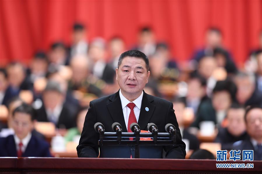 (兩會(huì))(10)全國政協(xié)十三屆一次會(huì)議第二次全體會(huì)議大會(huì)發(fā)言