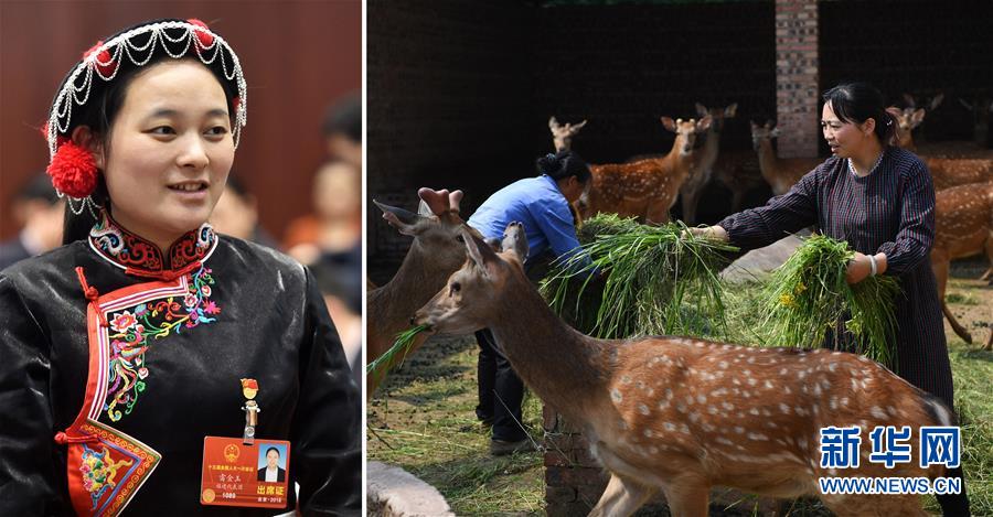 （兩會(huì)&middot;影像鏈接）全國人大代表雷金玉：努力吸引人才 推動(dòng)鄉(xiāng)村振興