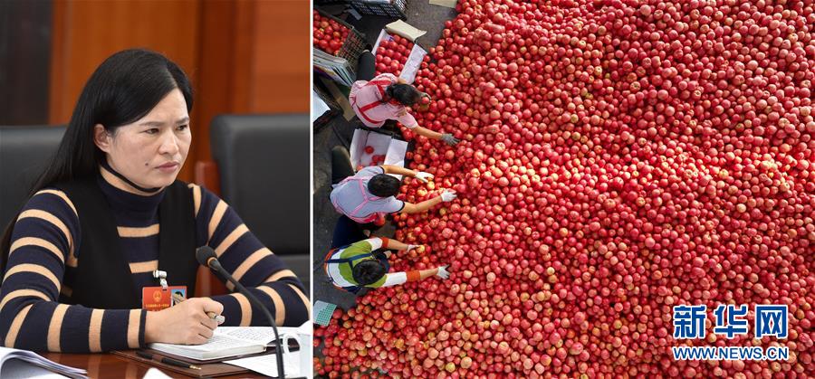 （兩會&middot;影像鏈接）全國人大代表曾云英：新型農業(yè)將迎來高質量發(fā)展的機遇