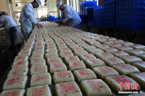 資料圖：師傅們在把制作好的桂花糖年糕擺放整齊。王思哲 攝